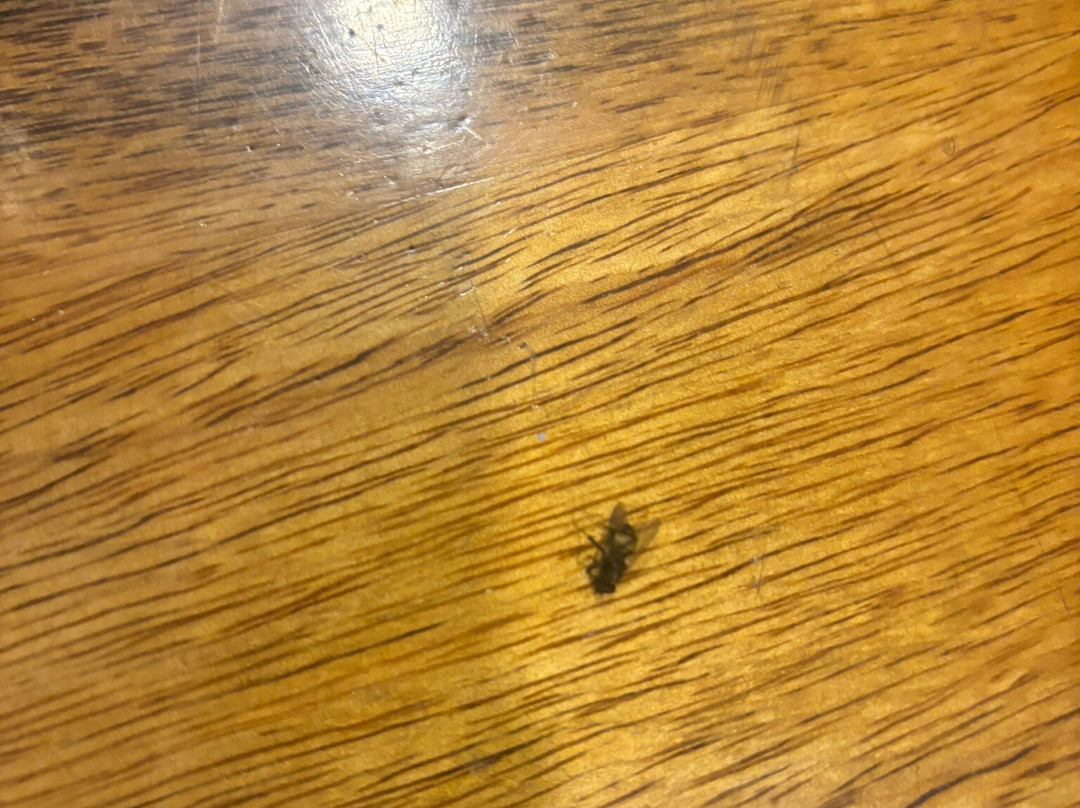 Hotel KRC Palace主图