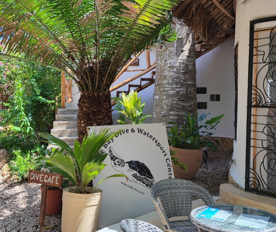 Turtle Dive- and Watersport Center-瓦塔木必去景点