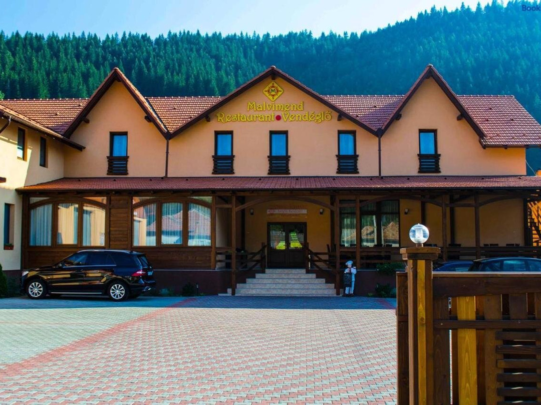 Pensiunea Malvimend主图