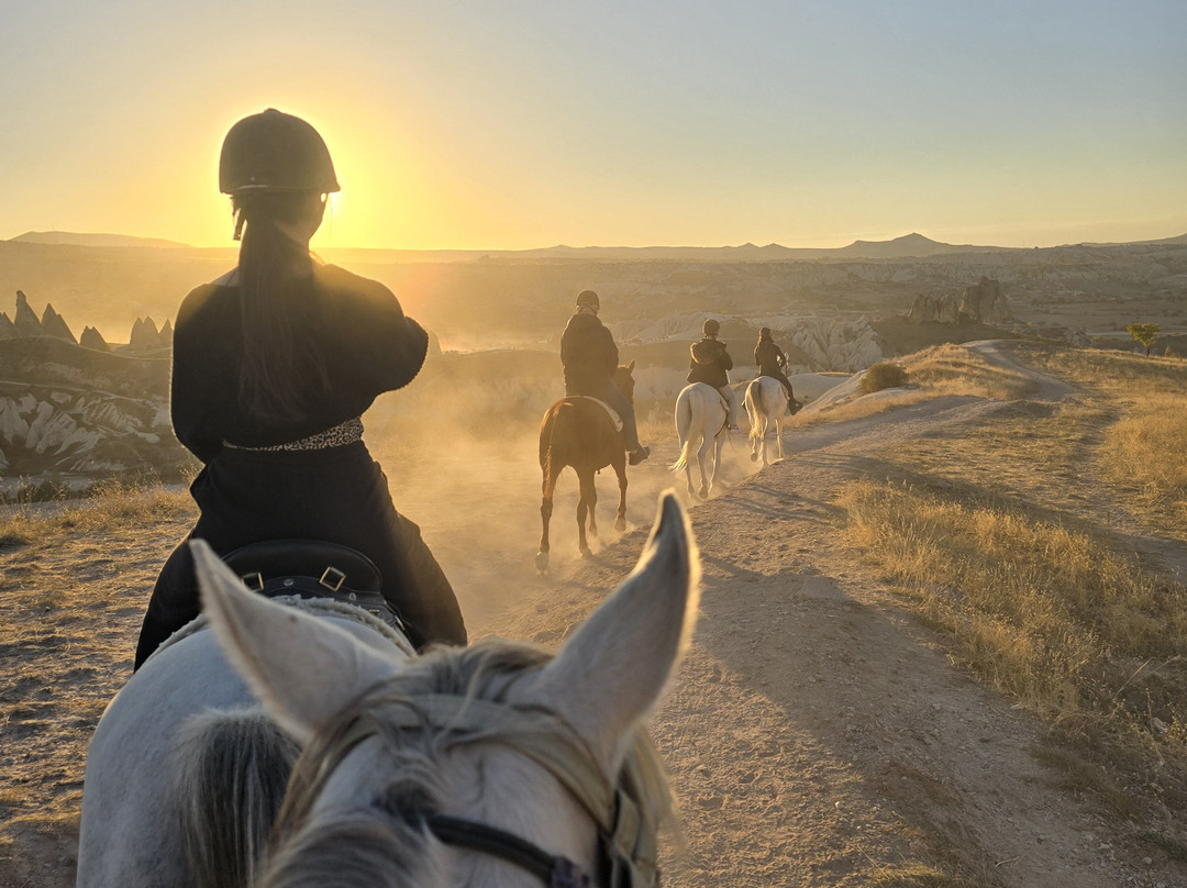 The Dalton Brothers Horse Riding Tours-格雷梅必去景点