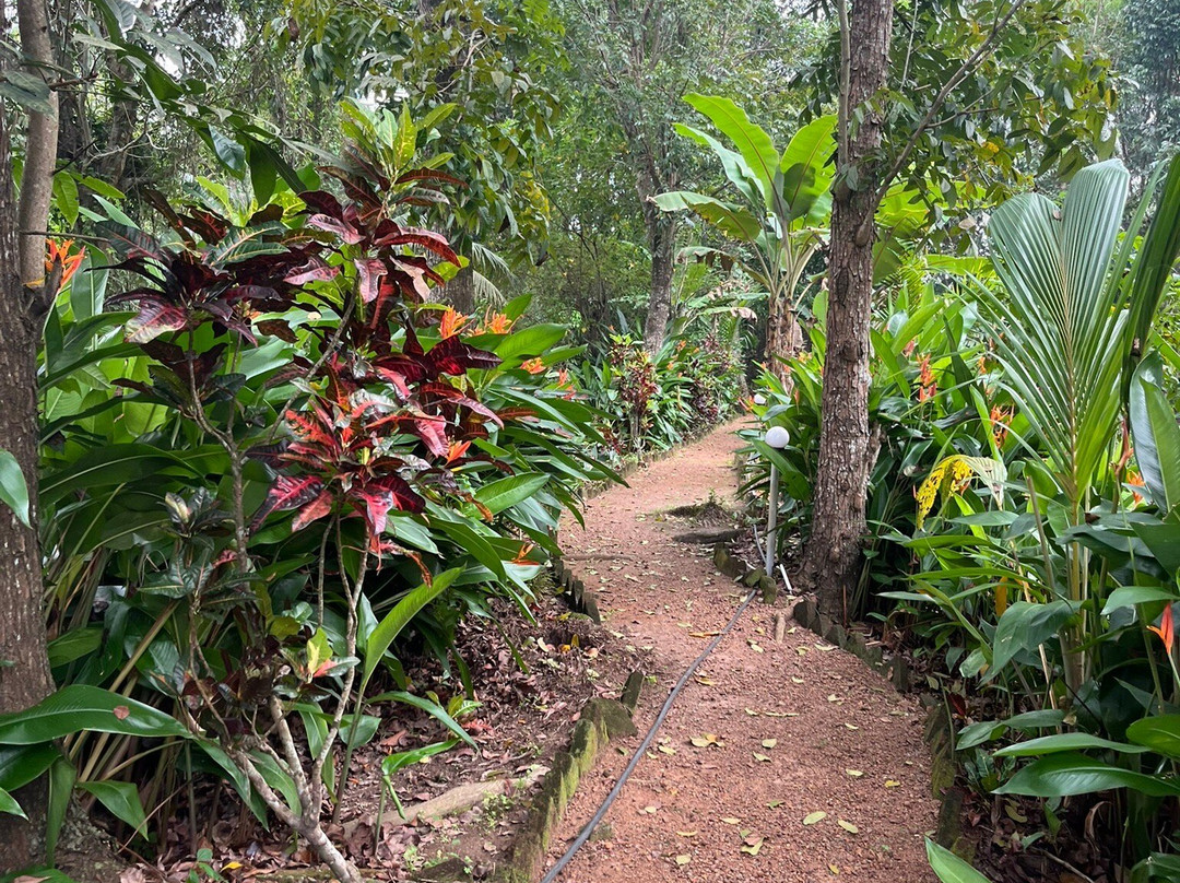 Green Palm Homes主图