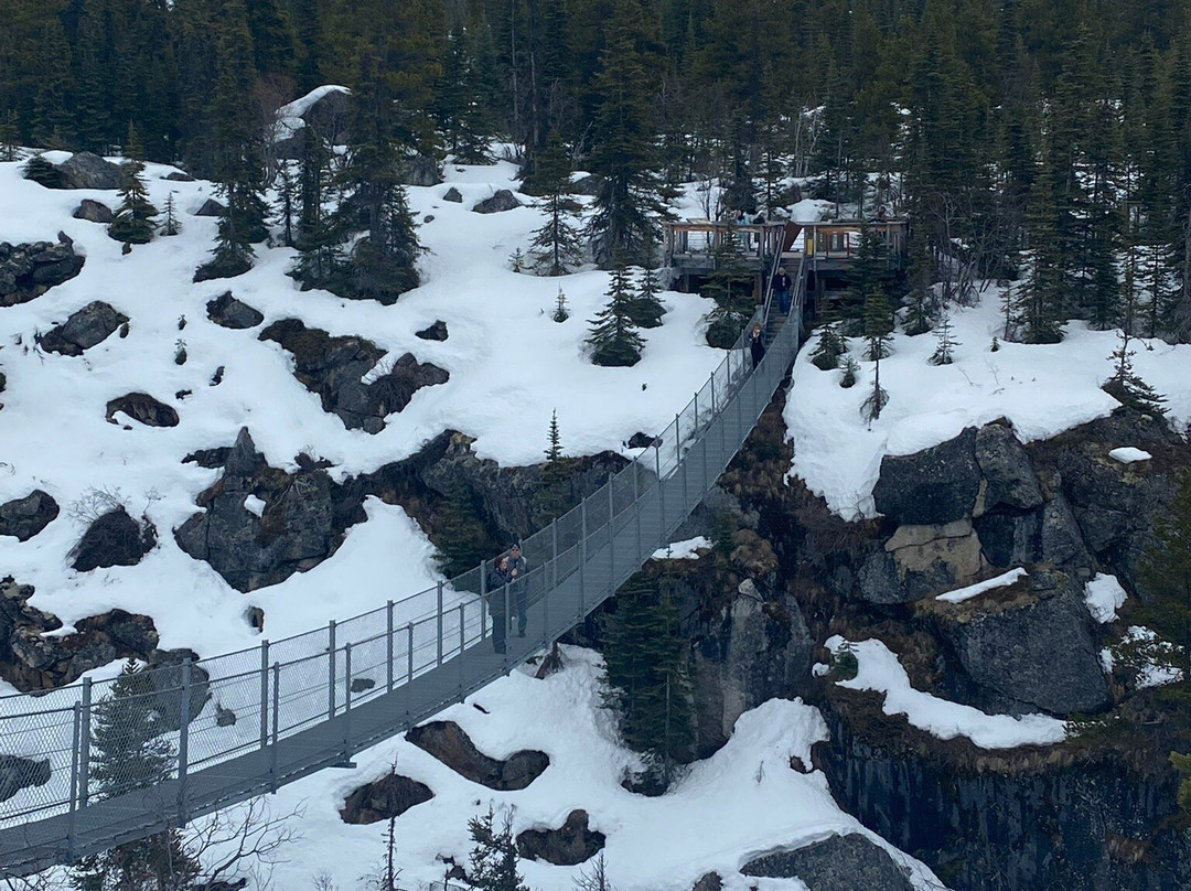 Yukon Suspension Bridge-白马市必去景点