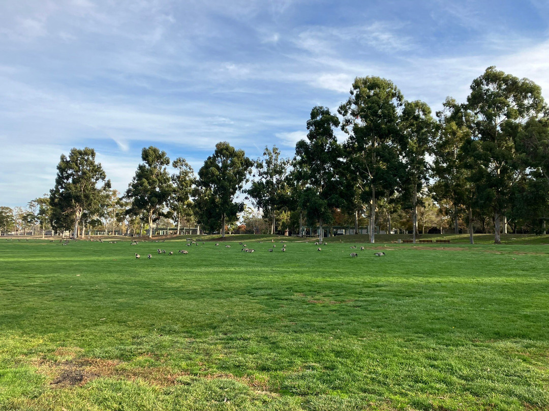 Baylands Park-森尼韦尔必去景点