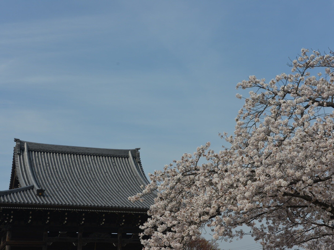 Otaki Fudoson Konzoji Temple-船桥市必去景点