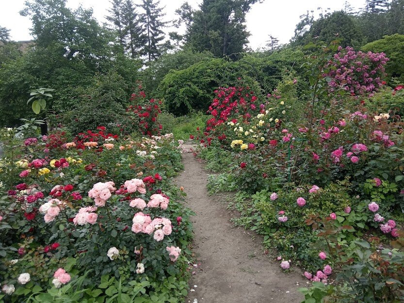 Botanical Garden-Institute景点图片