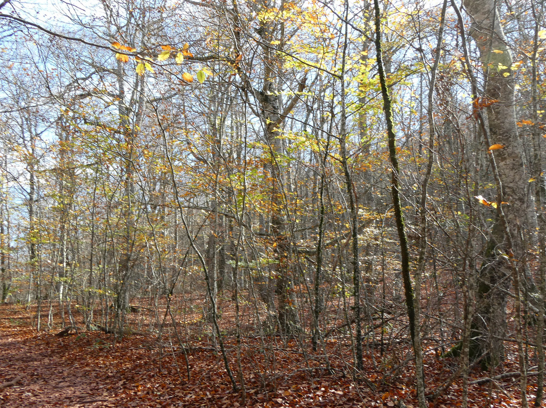 Mirador de Zamariain-Garayoa必去景点