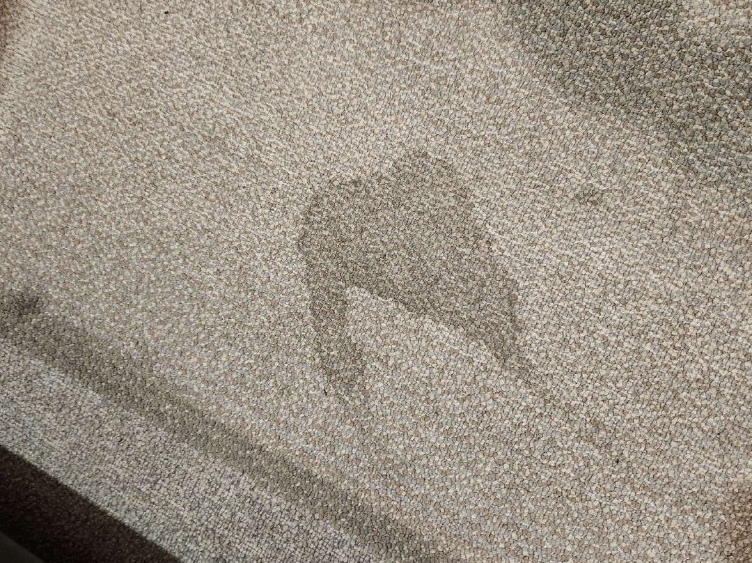 Hotel Mision Express Monterrey Aeropuerto La Fe主图