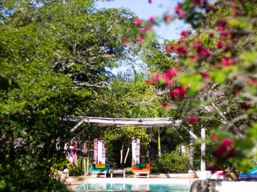 Ki-ra Holistic Living主图