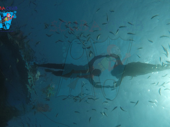 Scuba Club