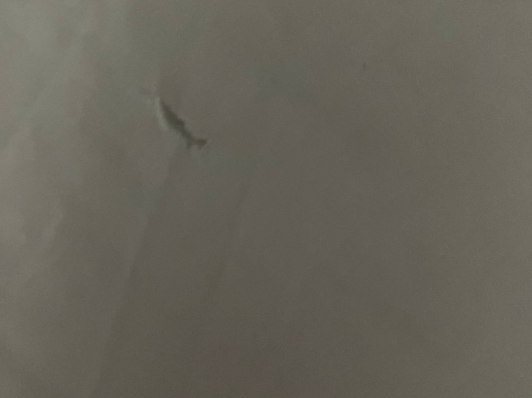 Fisher Inn Resort & Marina主图