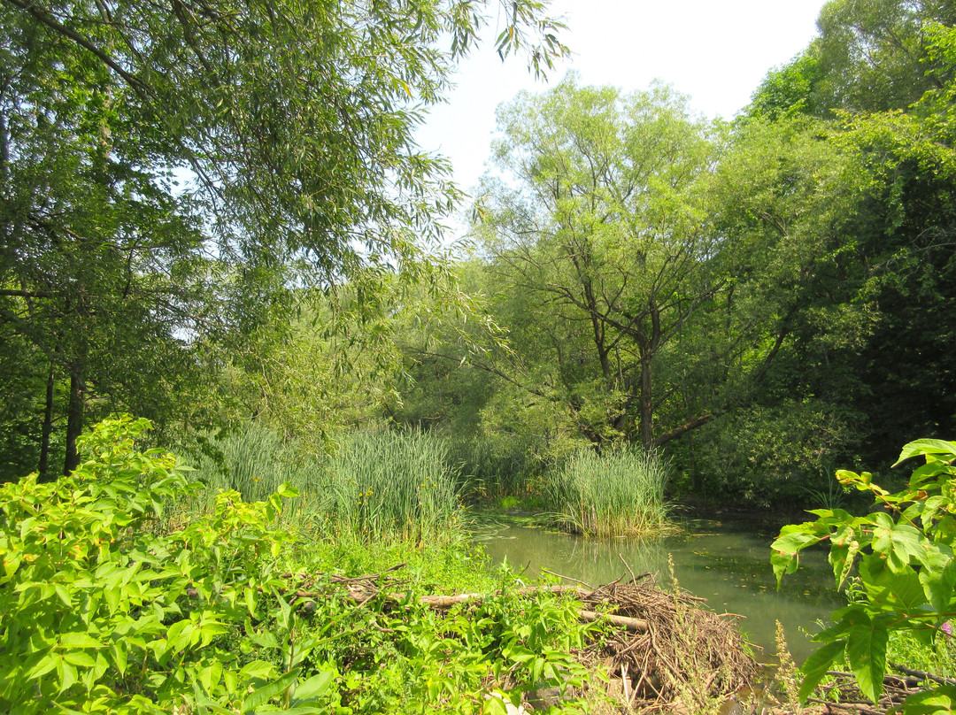 Parc Familial Des Berges-Donnacona必去景点
