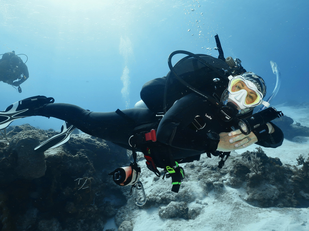 Dressel Divers Puerto Aventuras-阿范特拉斯港必去景点