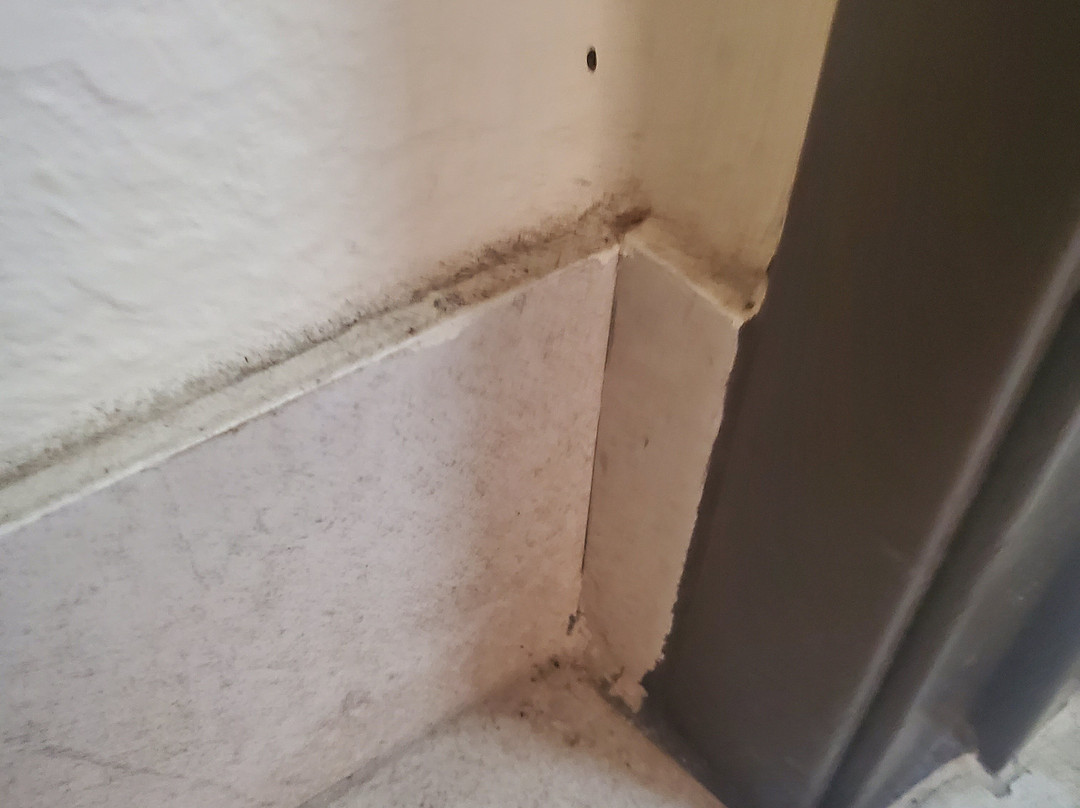 Comfort Inn Metro Airport主图