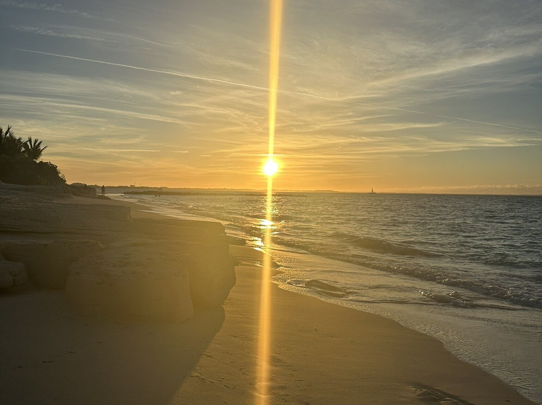 Spa Tropique-普罗维登西亚莱斯必去景点