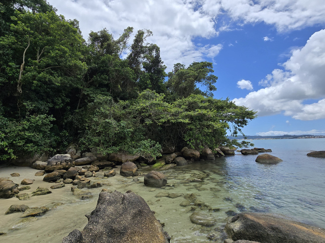 Floripa Stand Up Paddle景点图片