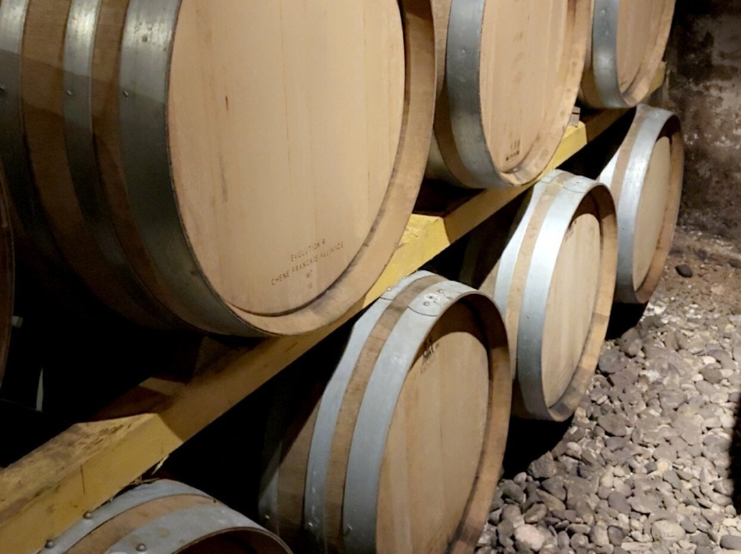 Domaine Albert Seltz景点图片