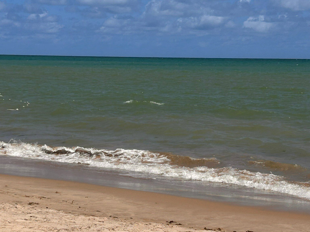 Praia da Ponta do Seixas景点图片