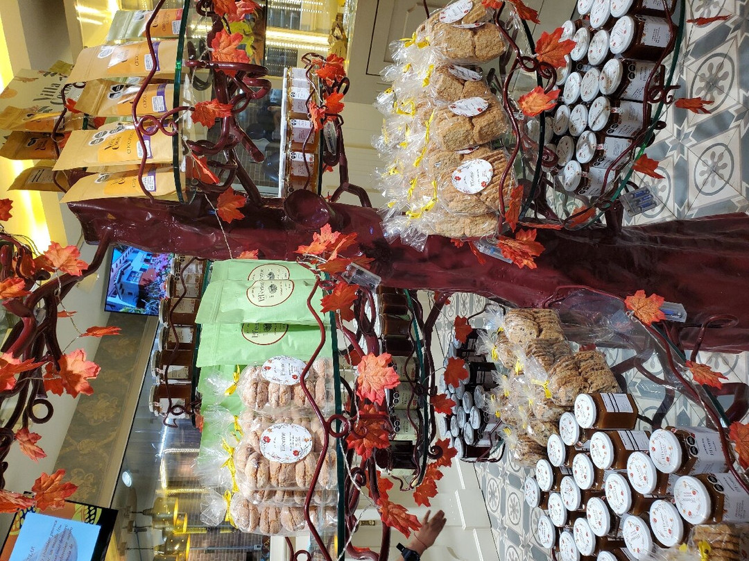 Villa Cocoa-San Sebastian del Oeste必去景点