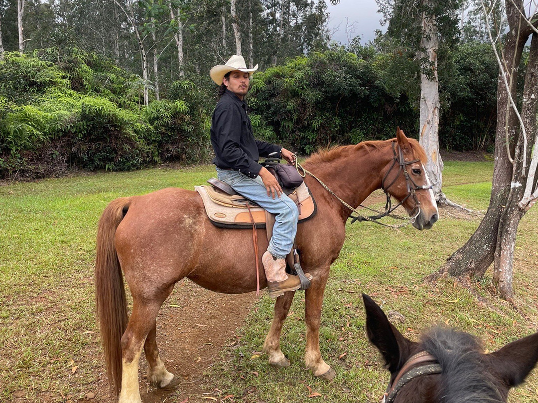 Silver Falls Ranch-基拉韦厄必去景点