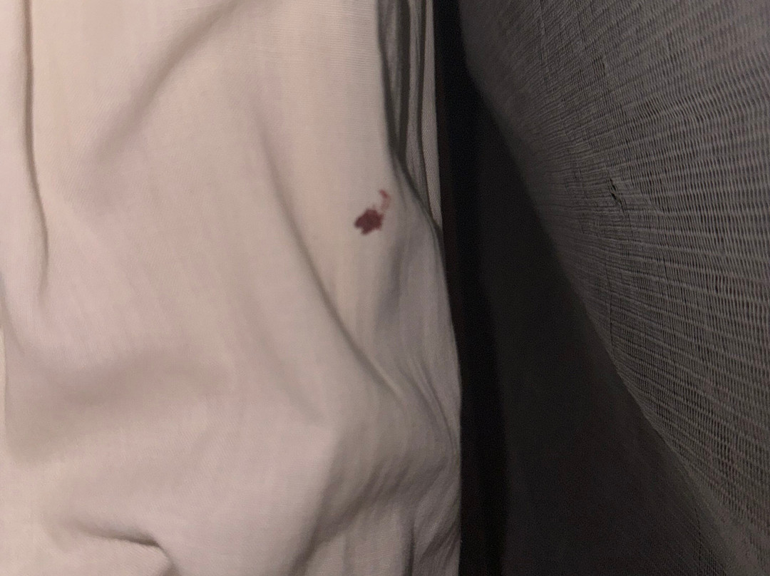 Ecolodge Le Bazouk du Saloum主图