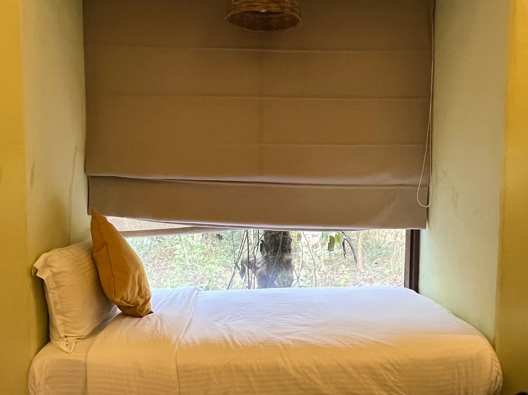 Kanha Jungle Camp - Jungle Camps India主图