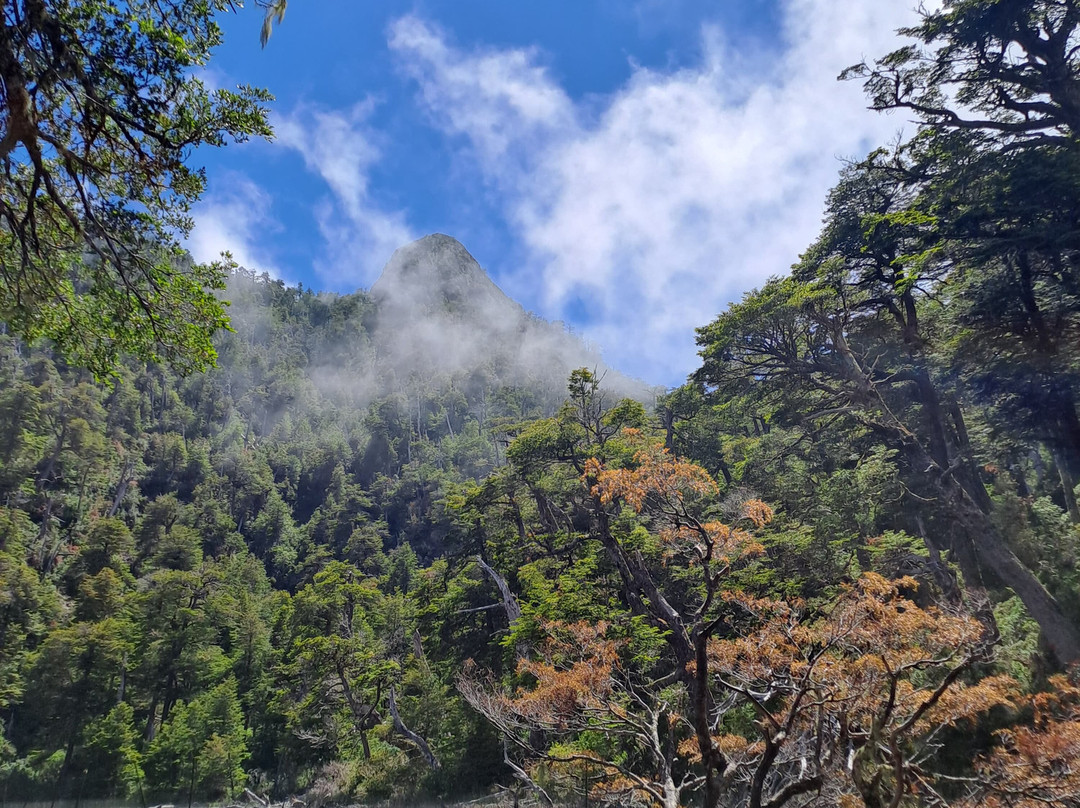 Parque Pico Toribio-Futrono必去景点