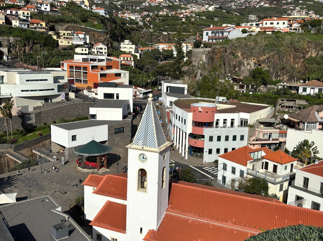 Baia de Camara de Lobos景点图片