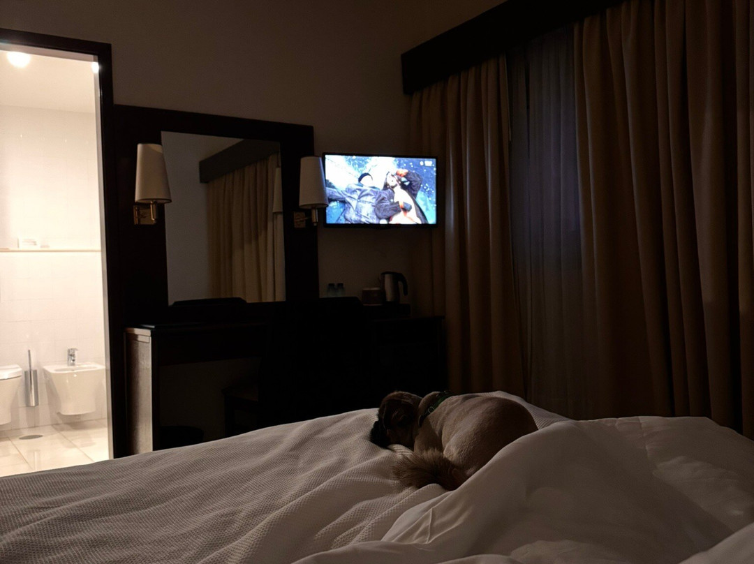 Hotel São Jose主图