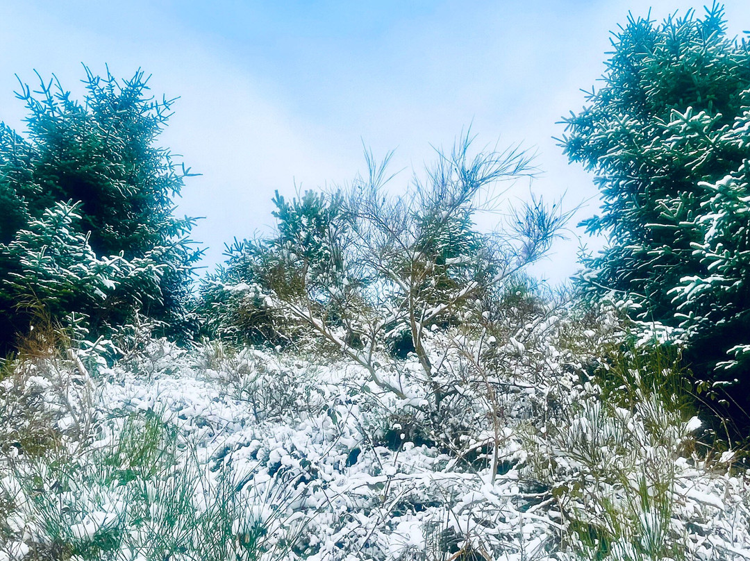 Durris Forest-Banchory必去景点