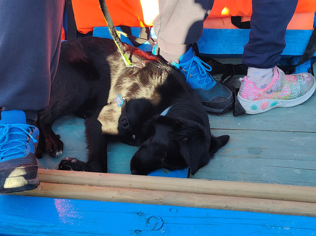 Messolonghi by Locals-Mesolongion必去景点