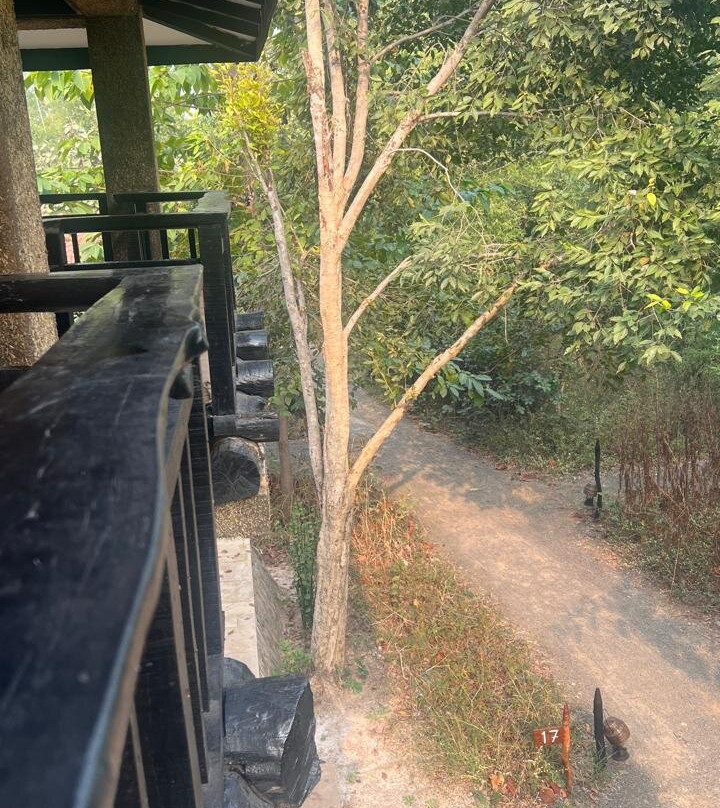 Pugdundee Safaris - Kings Lodge主图