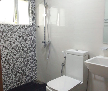 努沃勒埃利耶独树酒店主图