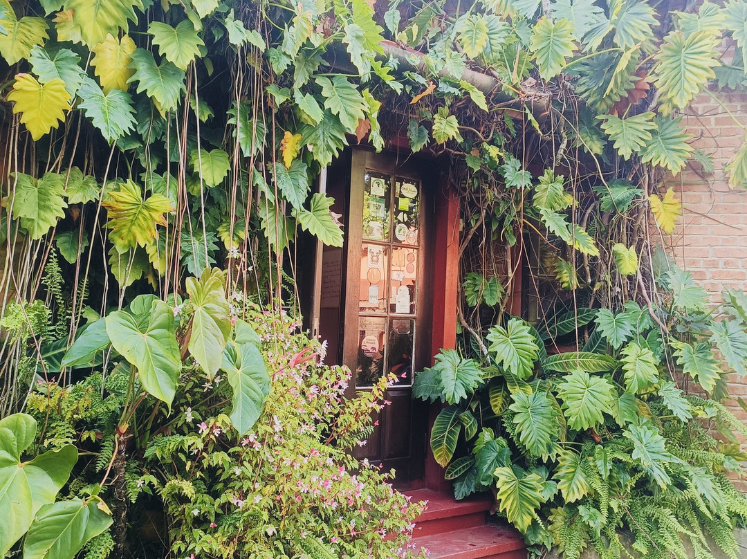 Lushoto Guide-卢绍托必去景点