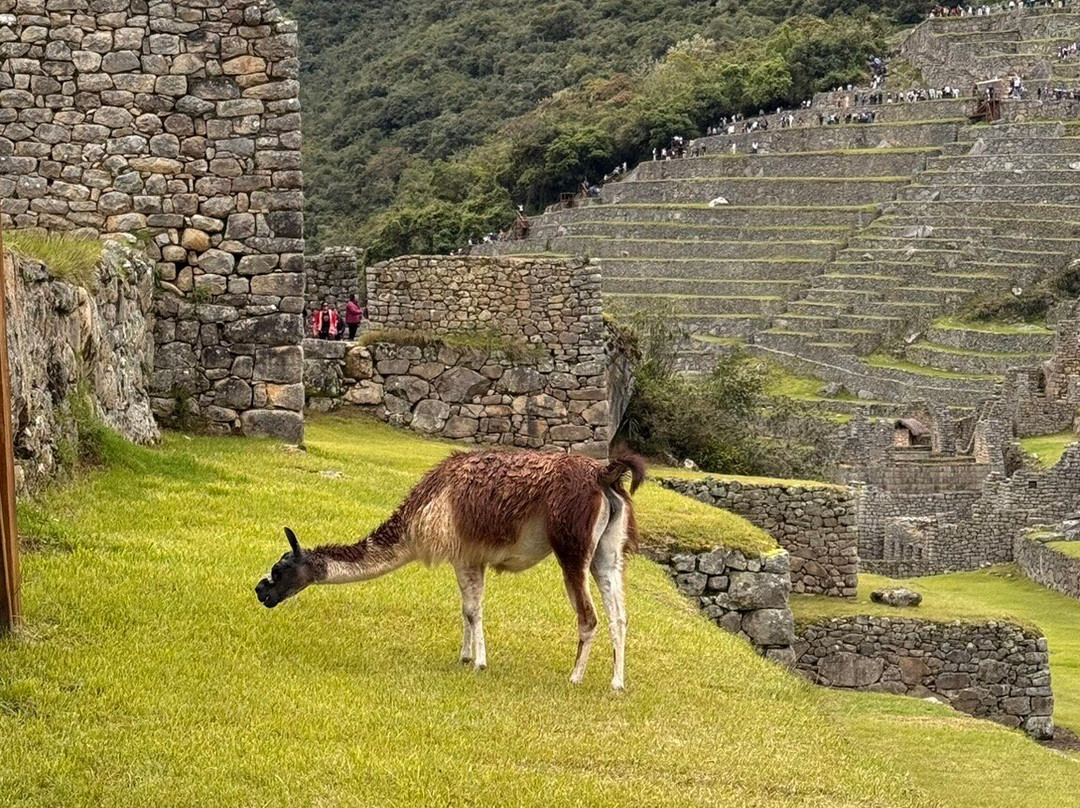 Yaku Travel Perú-库斯科必去景点