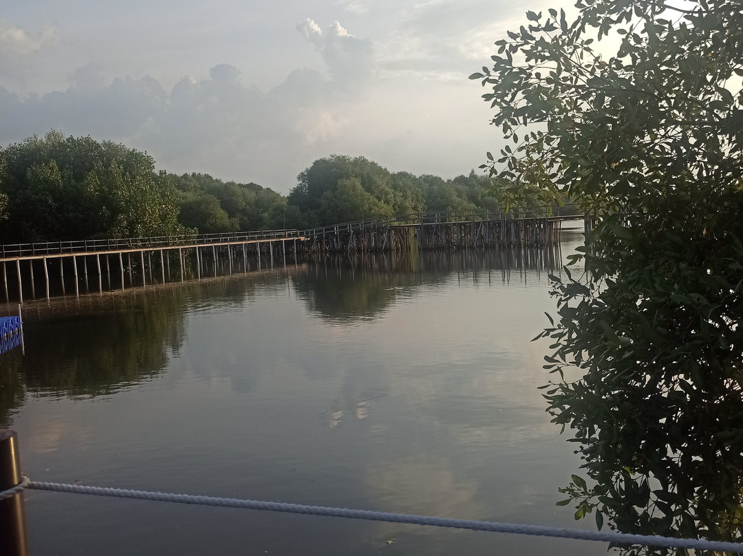Mangrove Forest-雅加达必去景点