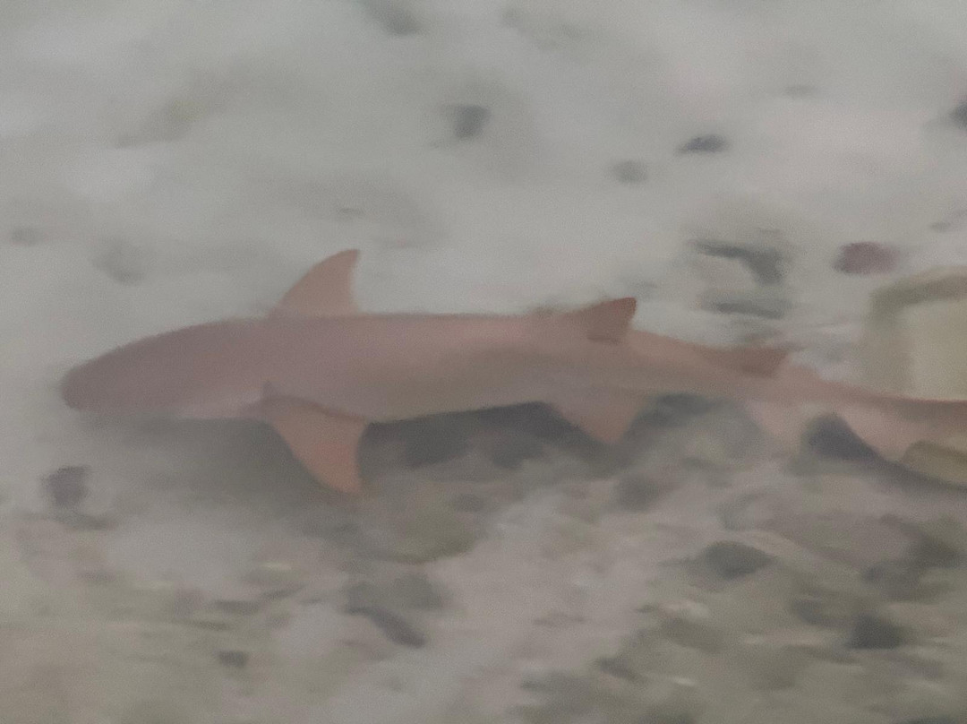 Meedhoo酒店住宿-Island Life Maldives Retreat & Spa