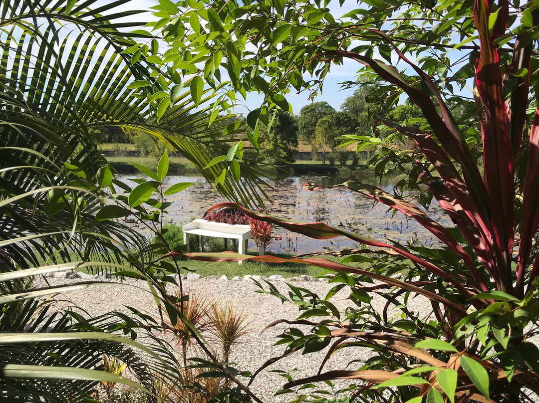 Bua Daeng Luxury Homestay主图