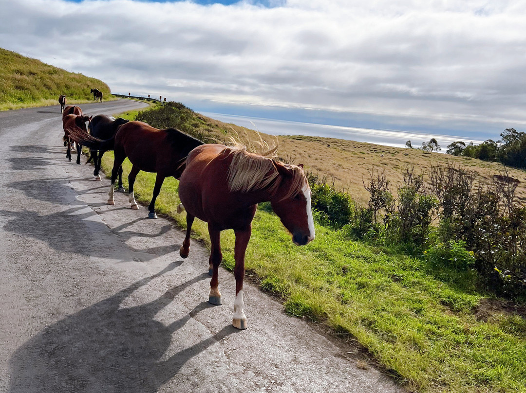 Ahu Te Pito Kura-复活节岛必去景点