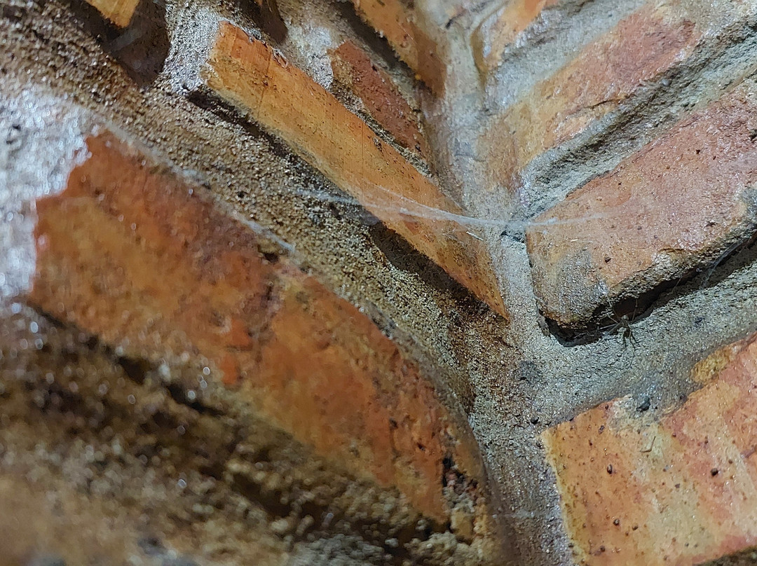 Zuela Guesthouse主图