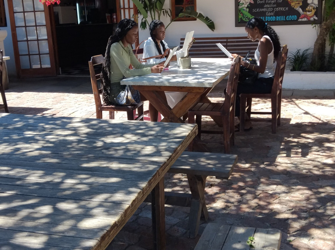 Cape Town Ostrich Ranch-开普敦中心区必去景点