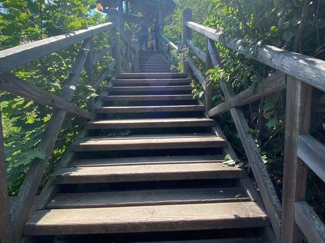 Tropinka Levitana-Ples必去景点