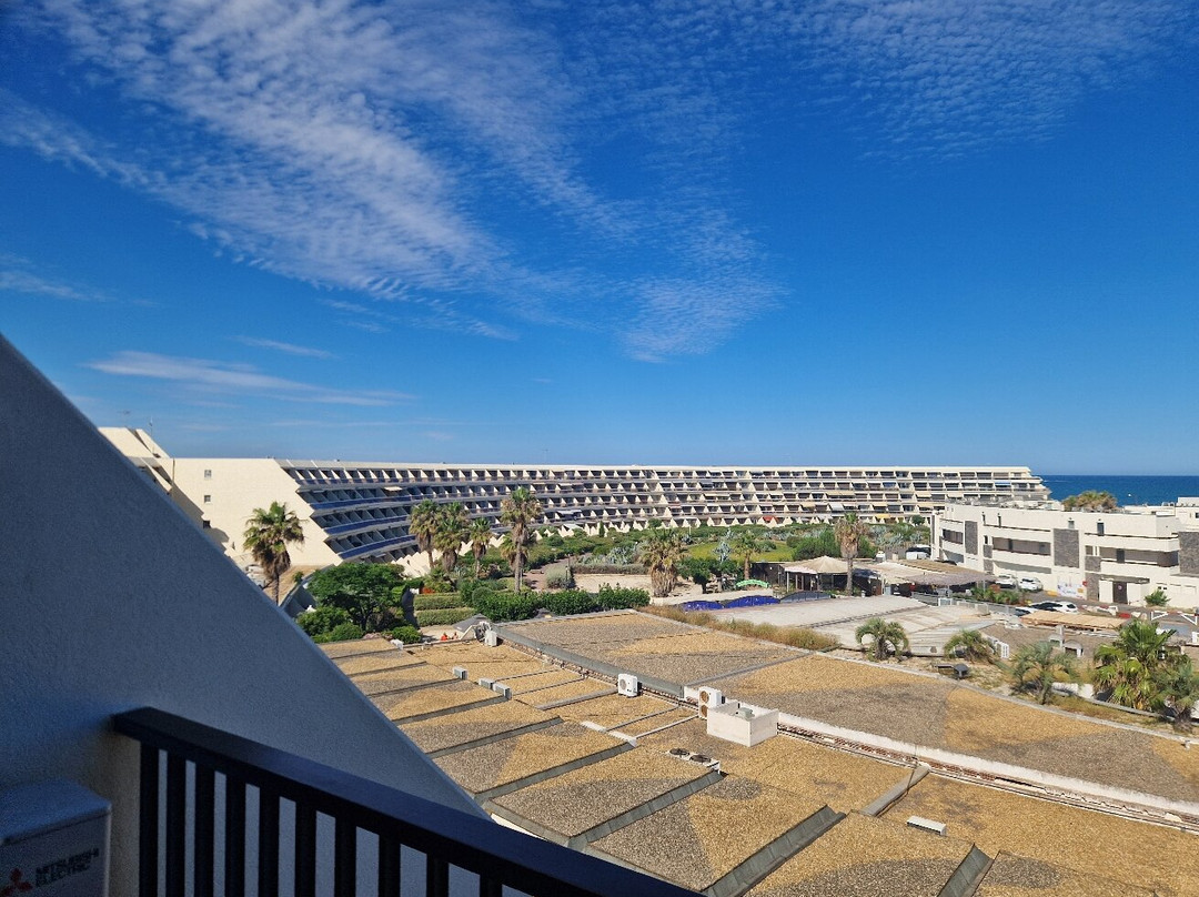 Port de Cap d’Agde景点图片