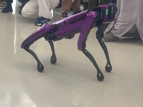 DAVYS TOURISM LLC-迪拜必去景点