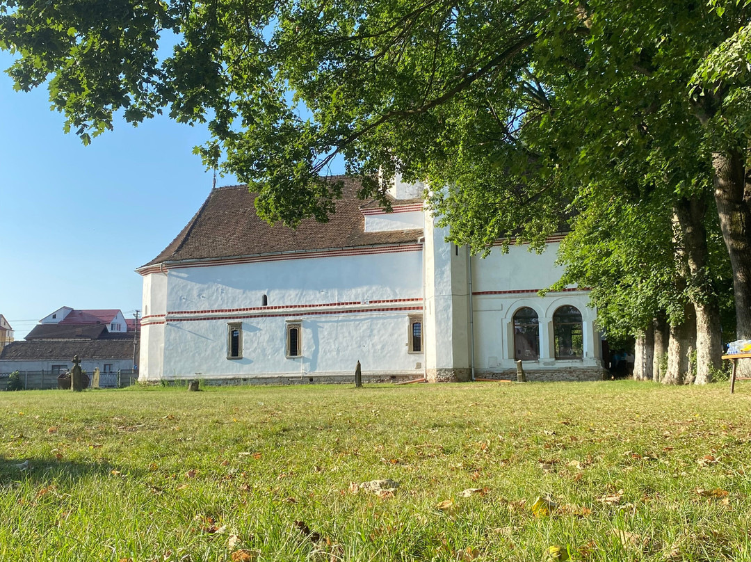 Biserica brâncovenească Sf. Nicolae Făgăraș景点图片