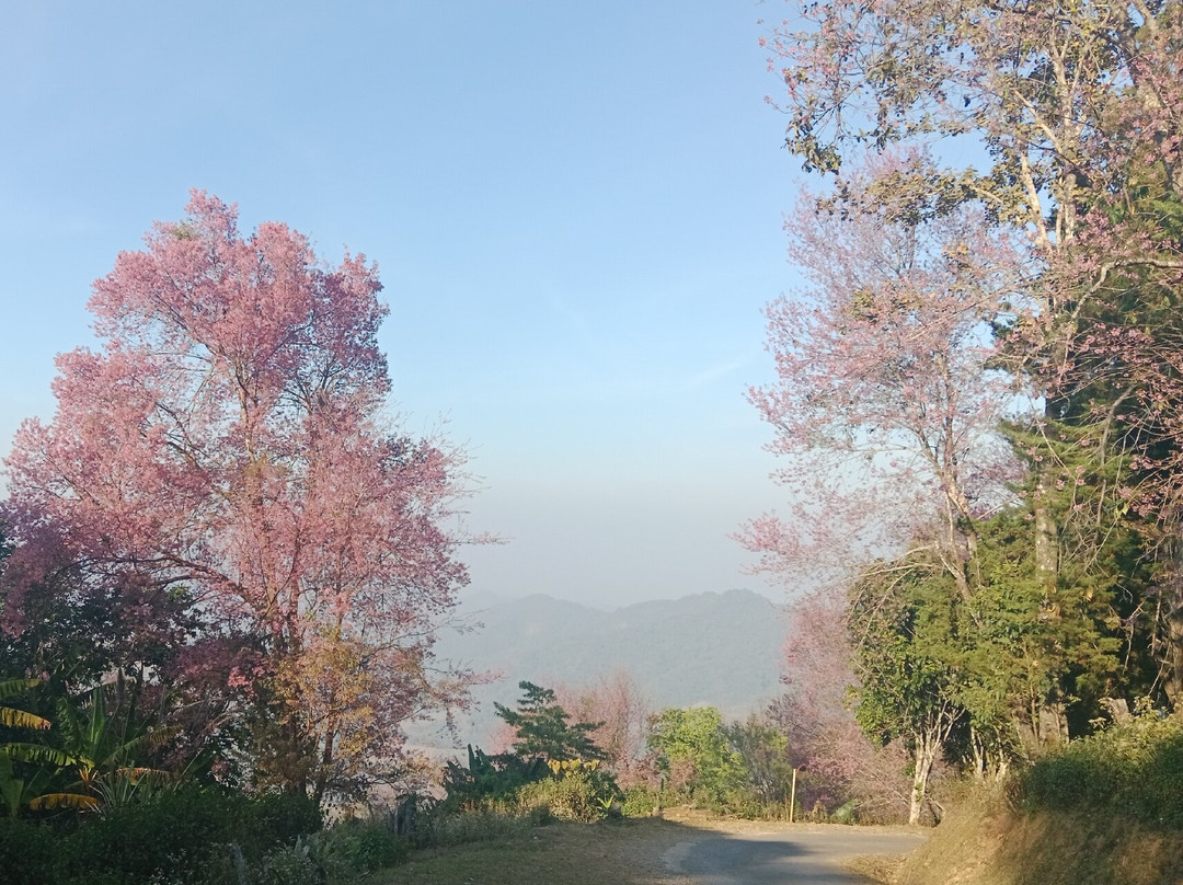 Khun Sathan National Park景点图片