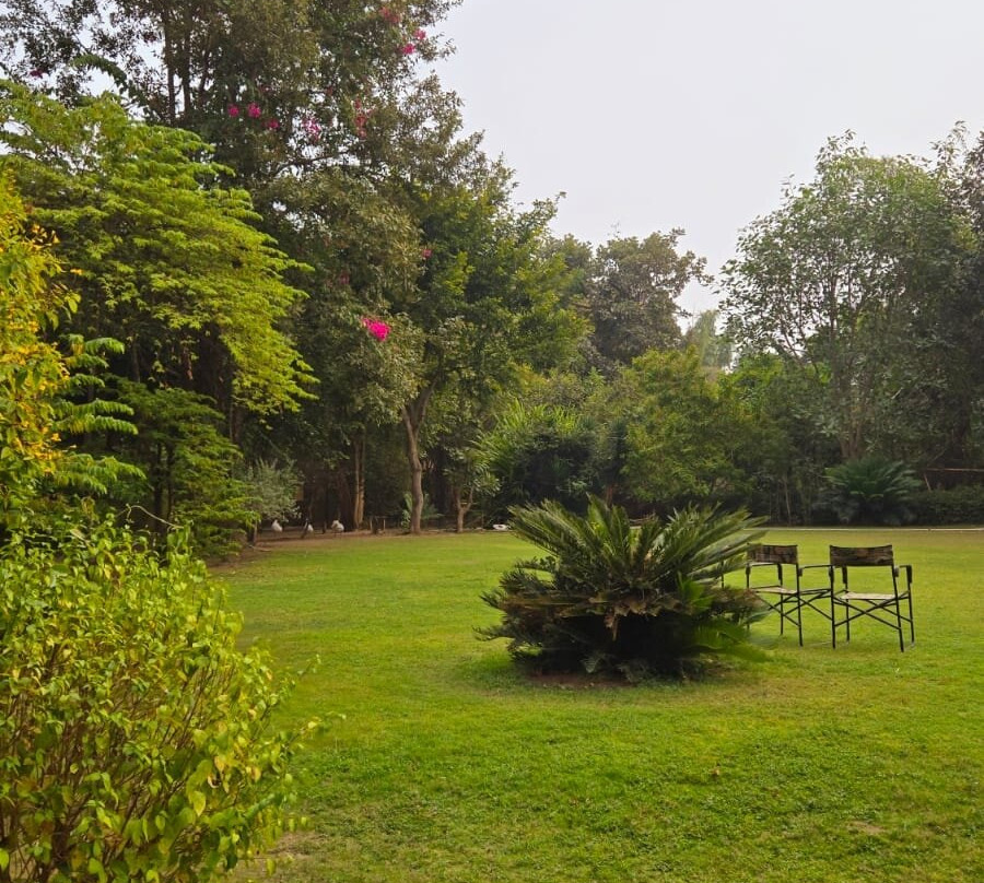 Mahua Vann Pench主图