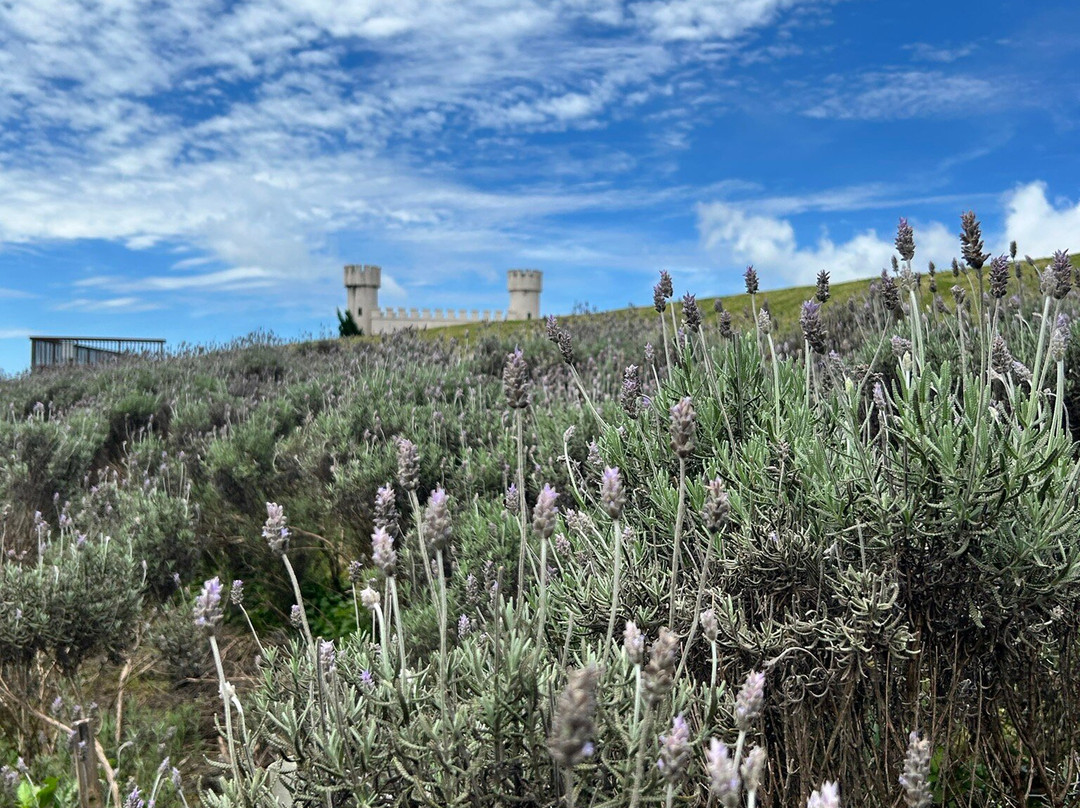 Itapeva Peak-Pindamonhangaba必去景点