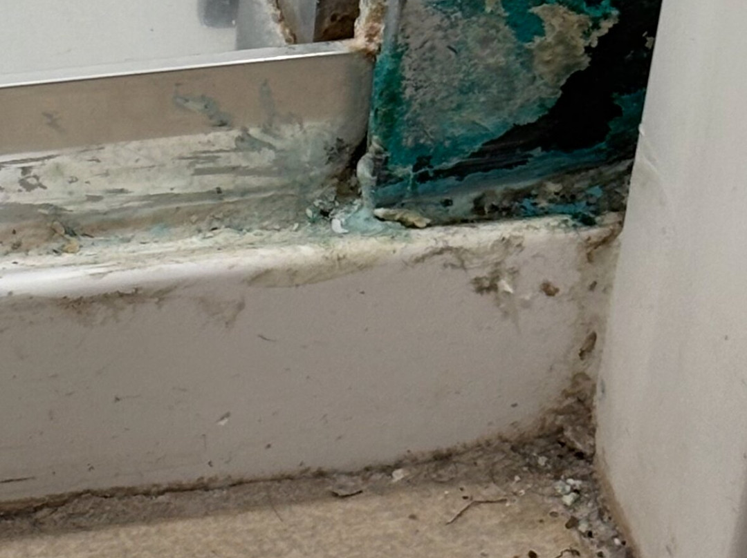 Holiday Inn Express & Suites Kinston By IHG主图