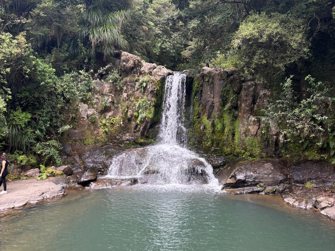 Waiau Falls Walk景点图片