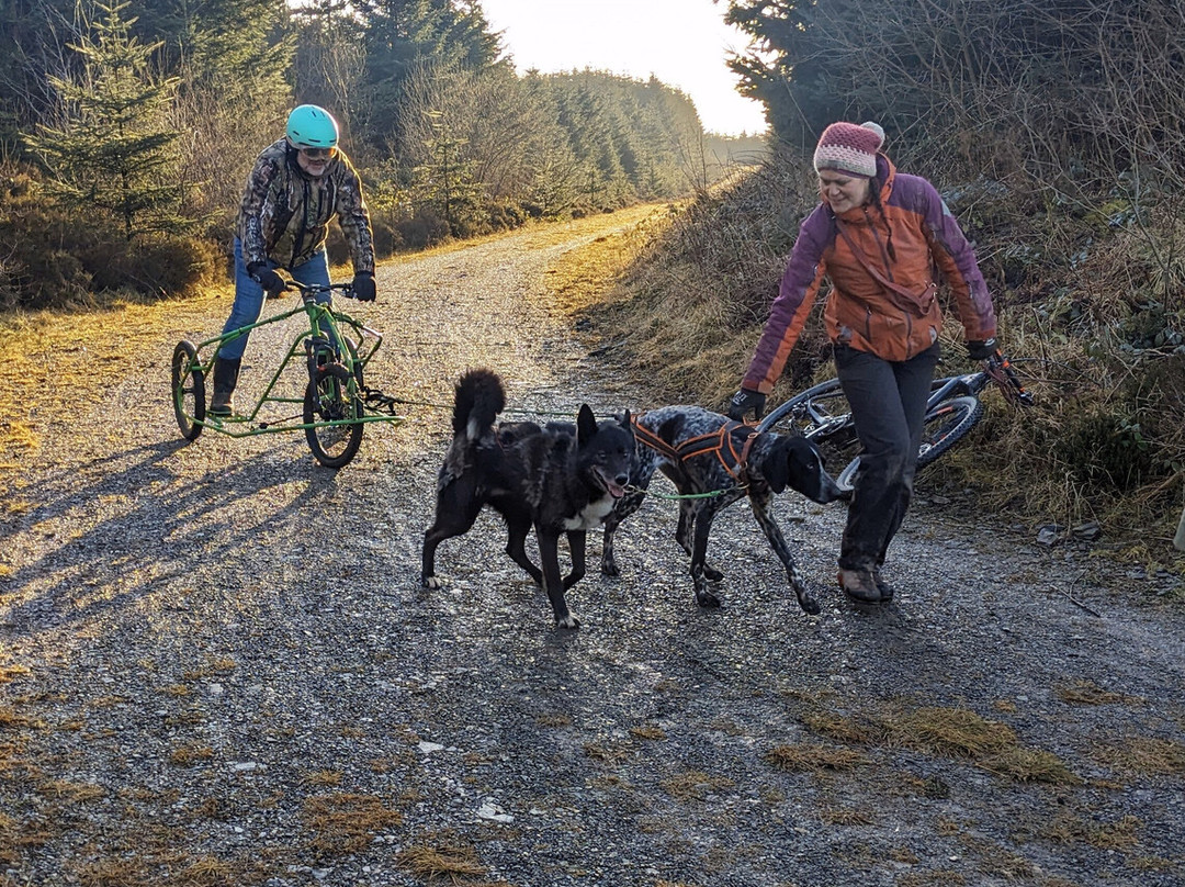 Mynydd Sleddog Adventures景点图片